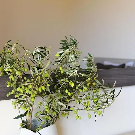 Stelia Luxury Apartmán *