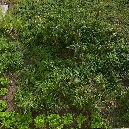 Stelia Luxury Apartmán