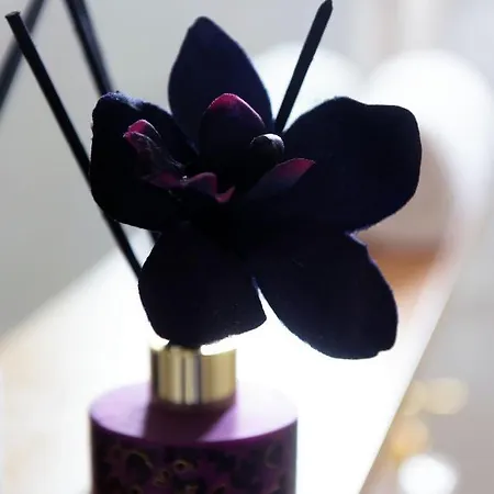 Stelia Luxury *