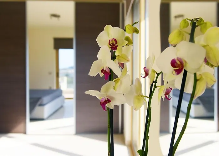 Stelia Luxury *