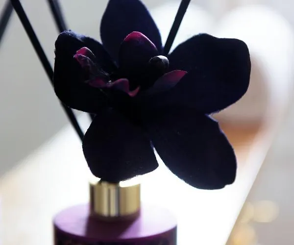 Stelia Luxury *