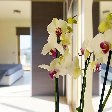 Stelia Luxury *