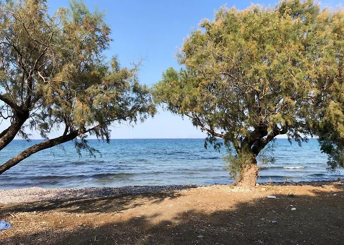 Stelia Luxury شقة