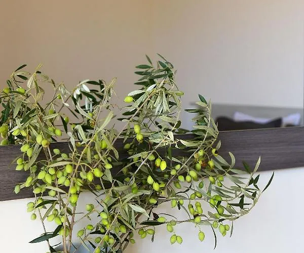 Stelia Luxury شقة *