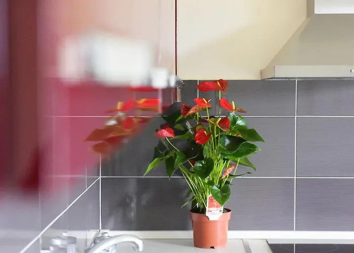 Stelia Luxury شقة *