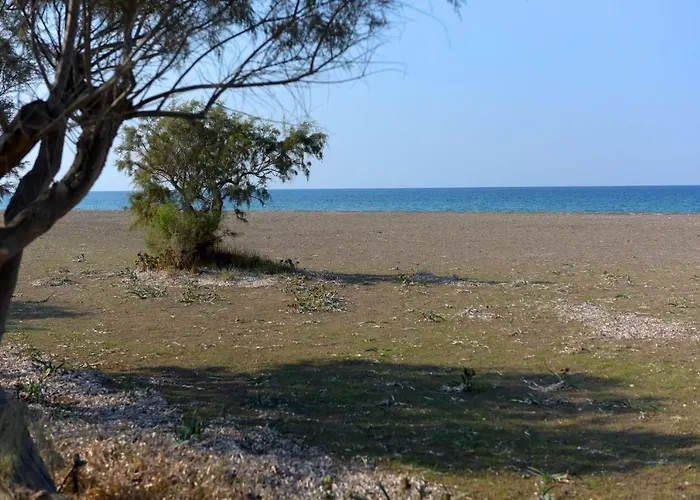 Stelia Luxury شقة *