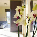 Stelia Luxury *