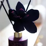 Stelia Luxury *