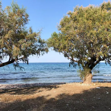 Stelia Luxury Lägenhet