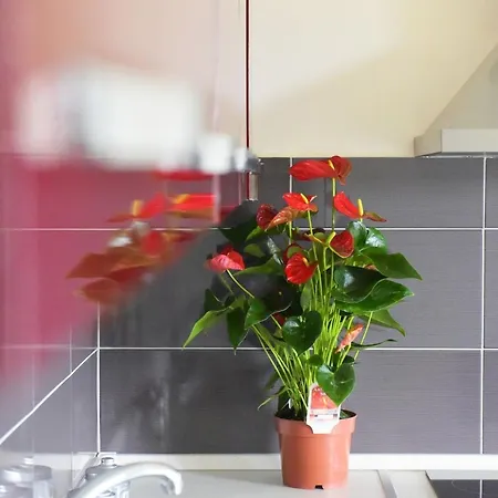 Stelia Luxury Lägenhet *