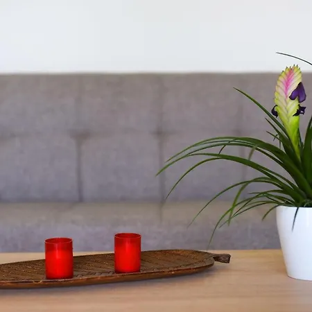 Stelia Luxury Lägenhet Kalavárda