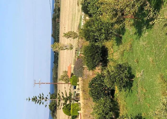 아파트 Stelia Luxury Kalavárda