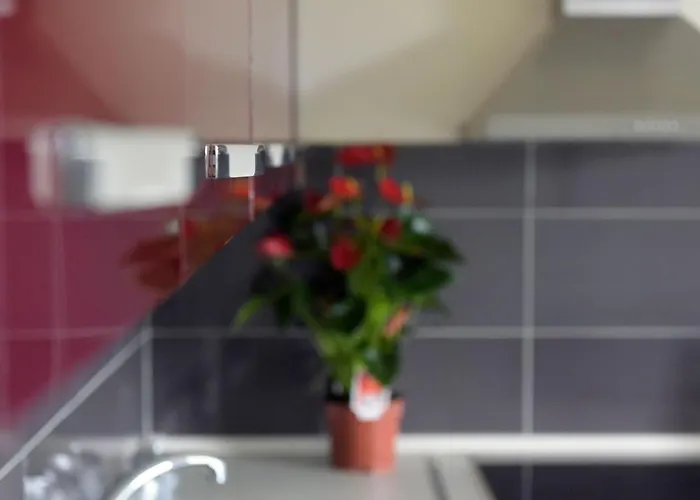 Stelia Luxury 아파트