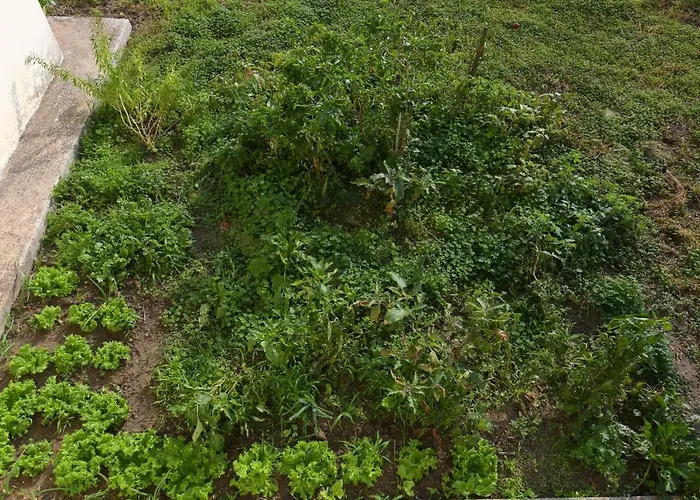 Stelia Luxury 아파트